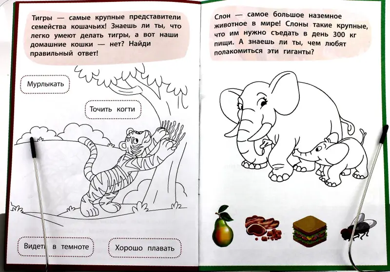 Комплект Животные дикой природы. Мини-книжка +  1 случайная игрушка, без выбора.