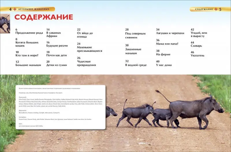 Детеныши животных. Детская энциклопедия