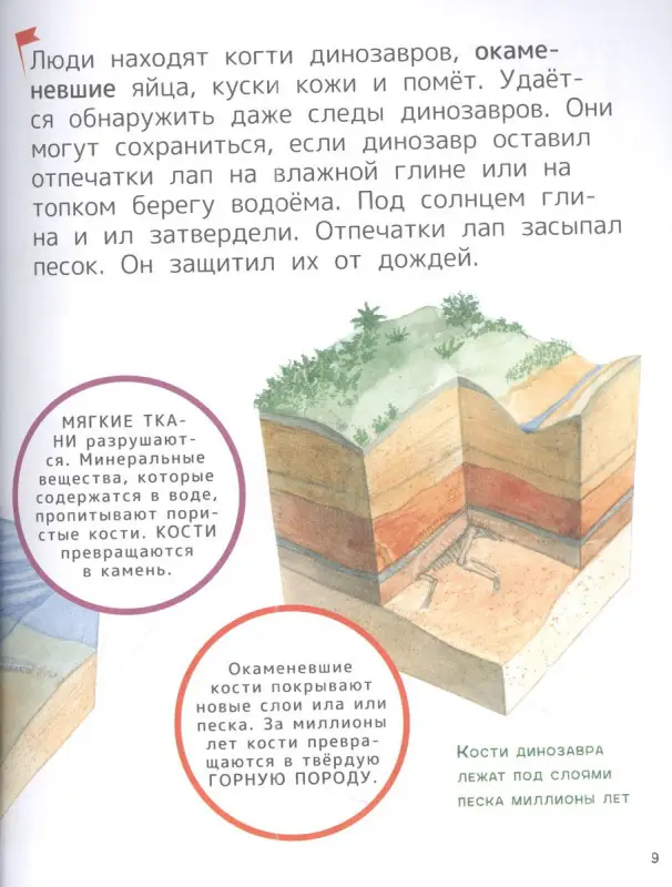 Динозавры. Энциклопедия для первого чтения с крупными буквами