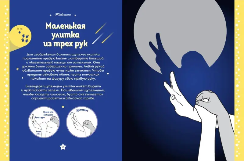 Уценка. Театр теней. Большая книга
