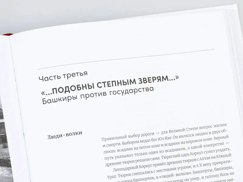 Иванов Алексей Викторович: Вилы