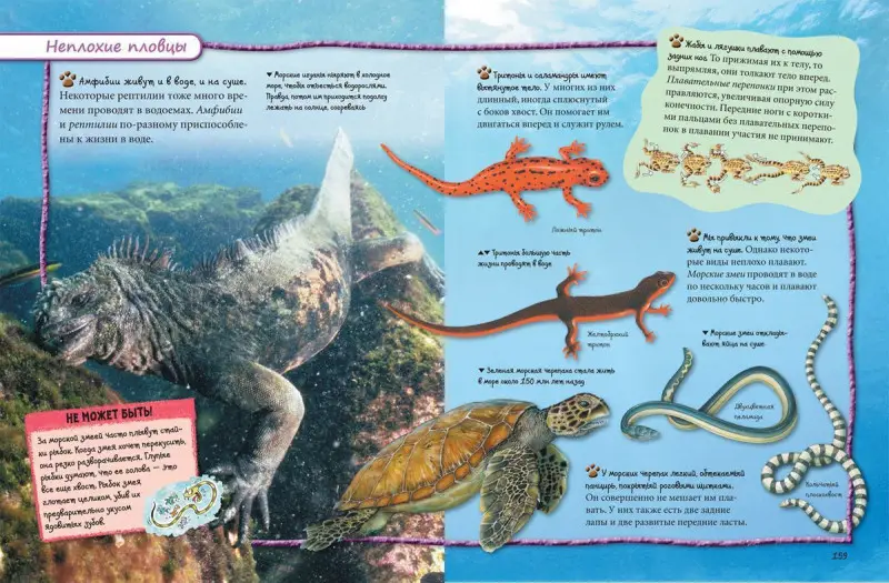 Уценка. Всё обо всем. Энциклопедия интересных фактов