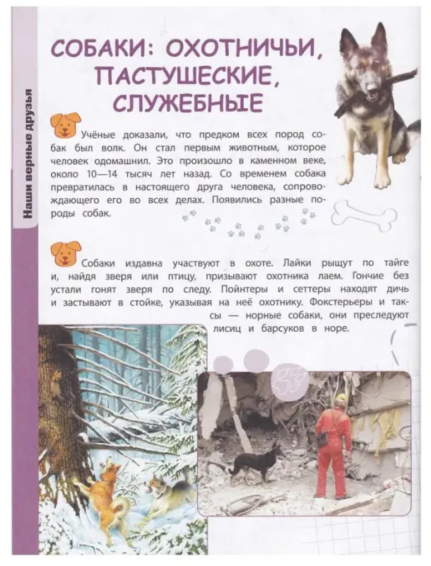 Александра Смирнова: Домашние животные