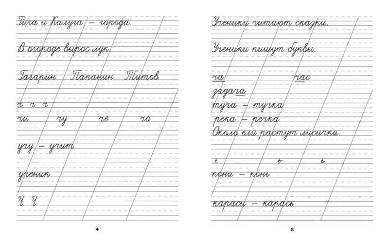 Классические прописи по русскому языку. Пропись №2