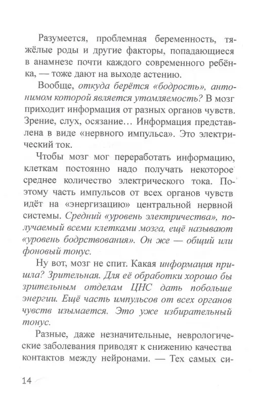 Нейропедагогика предметно-развивающей среды