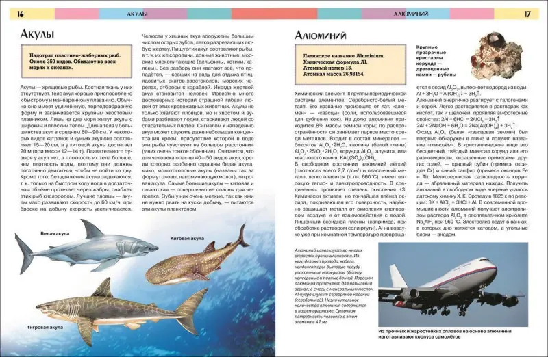 Уценка. Полная энциклопедия школьника