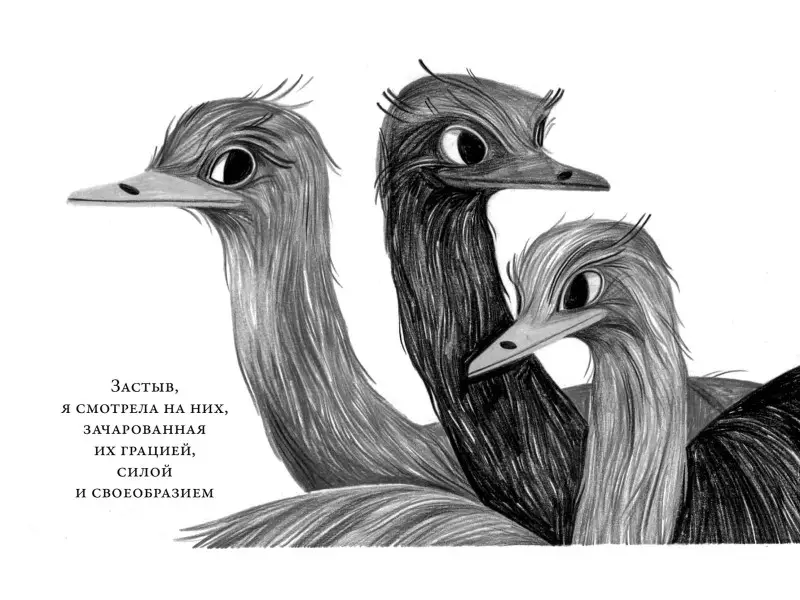 Монтгомери Сай. Те, кто делает нас лучше: 13 животных, которые помогли мне понять жизнь