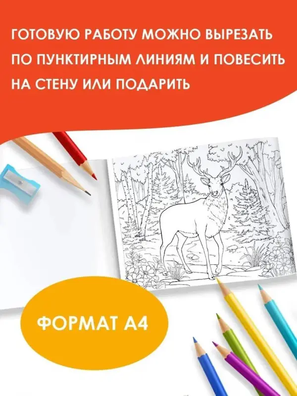 Мир вокруг. Альбом для раскрашивания