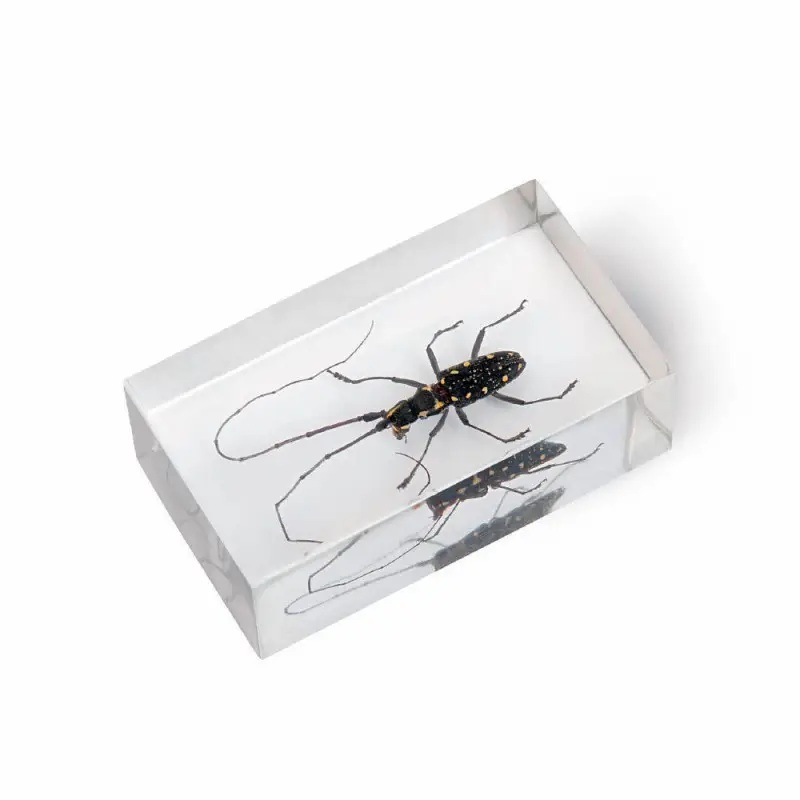 Журнал № 67 "Настоящие насекомые" (Жук-усач желтопятнистый )