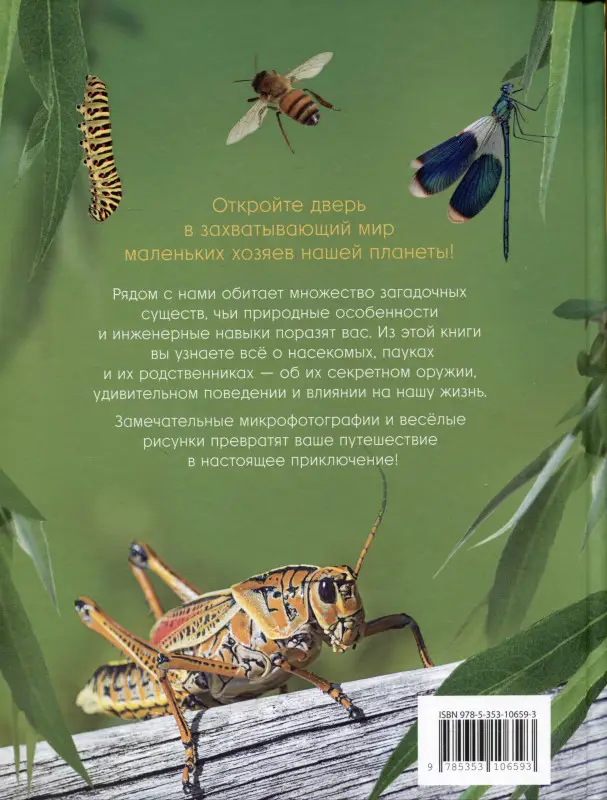 Невероятные насекомые и другие маленькие животные