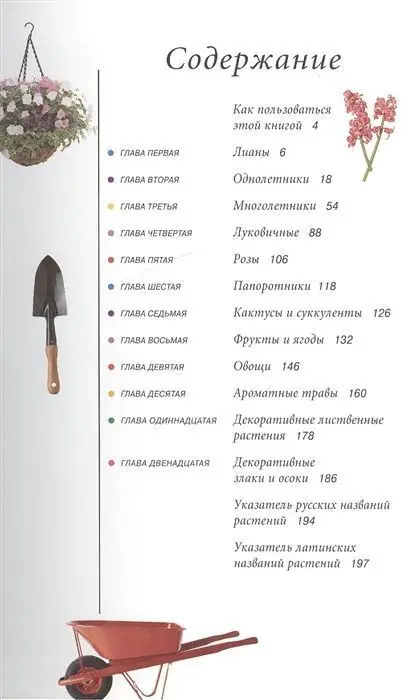 Сад твоей мечты: цветы и растения