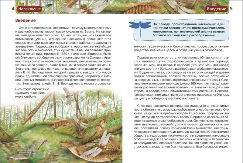 Уценка. Насекомые. Детская энциклопедия Росмэн