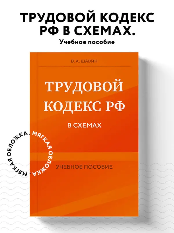 В. А. Шавин. Трудовой кодекс РФ в схемах. Учебное пособие