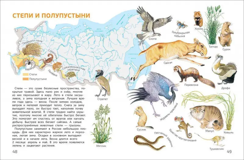 Уценка. Мир и человек. Мой любимый географический атлас