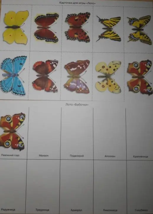 Уценка. Наглядно-дидактический материал с конспектами занятий. Бабочки