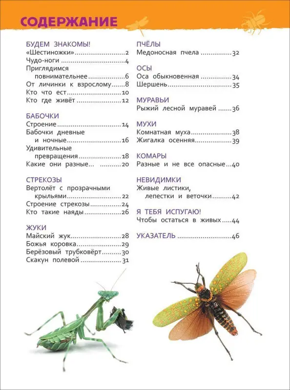 Уценка. Насекомые. Энциклопедия для детского сада