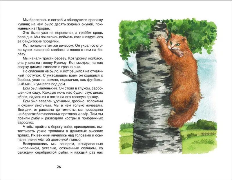 Уценка. Паустовский К. Барсучий нос.Рассказы и сказки (ВЧ)