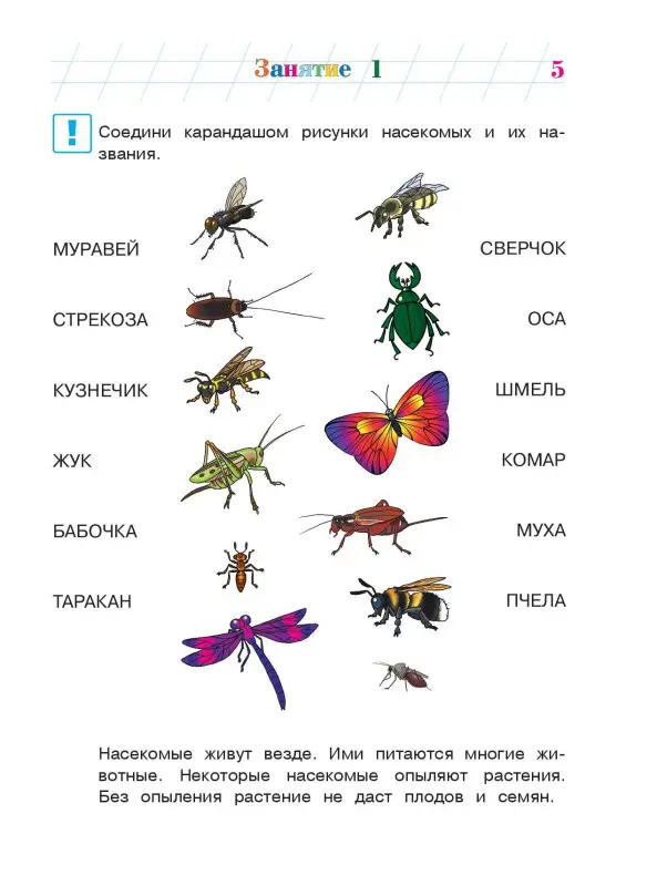Уценка. В. А. Егупова. Изучаю мир вокруг: для детей 5-6 лет. Ч. 2