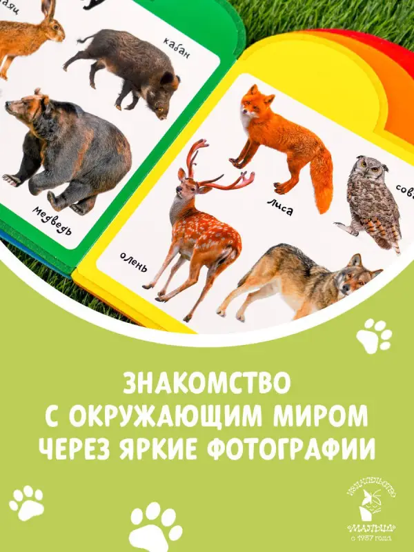 Животные