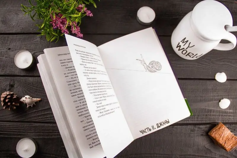 Уценка. Тайные виды на гору Фудзи