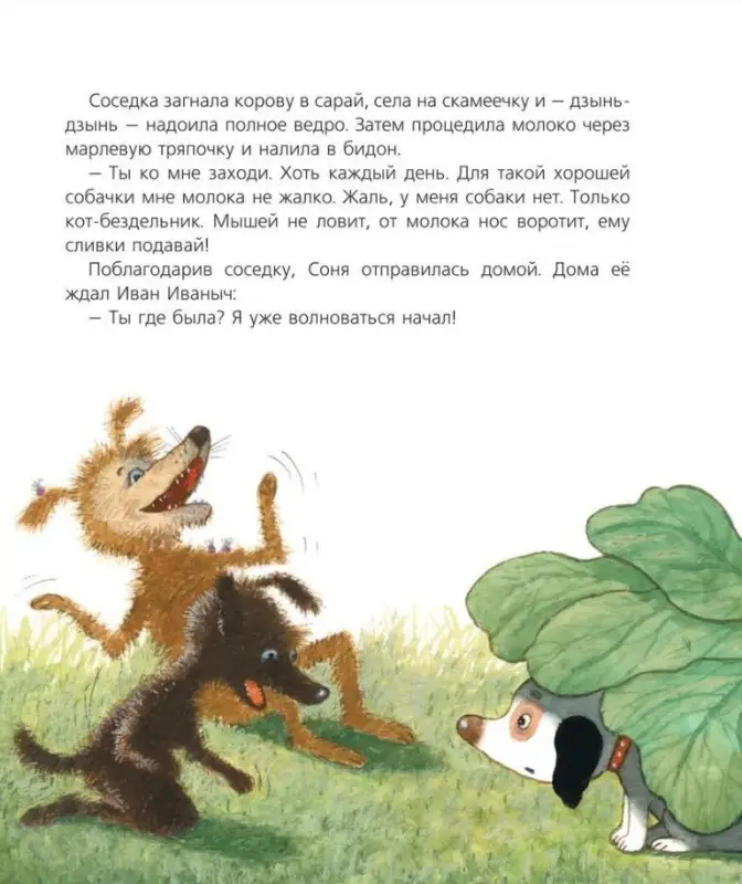 Собачка Соня на даче