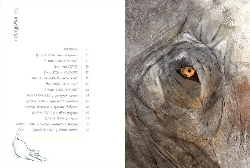 Животные в метрах и миллиметрах