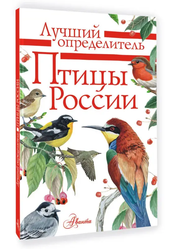 Мосалов Алексей Александрович: Птицы России