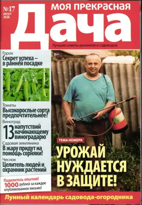 Моя Прекрасная Дача 17/26