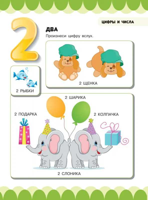 Людмила Доманская: Счёт и сравнение предметов. Цифры, числа, противоположности