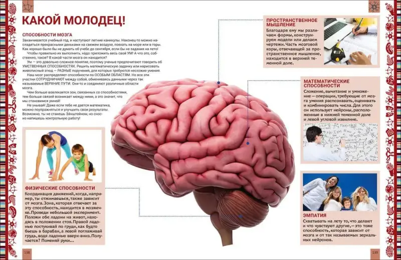 Уценка. Человек. Большая энциклопедия