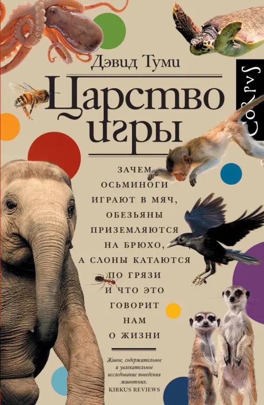 Уценка. Туми Дэвид: Царство игры