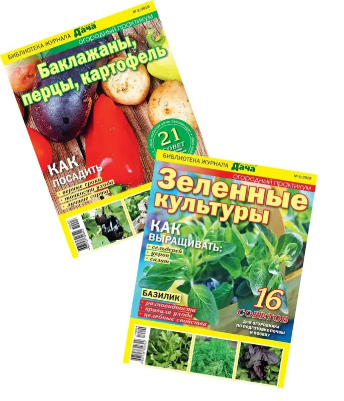 Комплект  журналов Моя любимая дача (Огородные практикумы) (3/19 + 4/19) Сад и огород