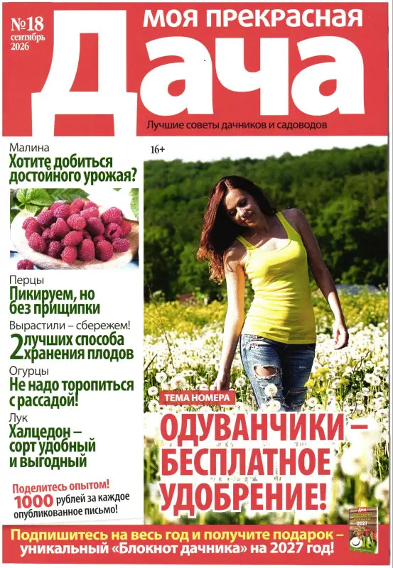 Моя Прекрасная Дача 18/26