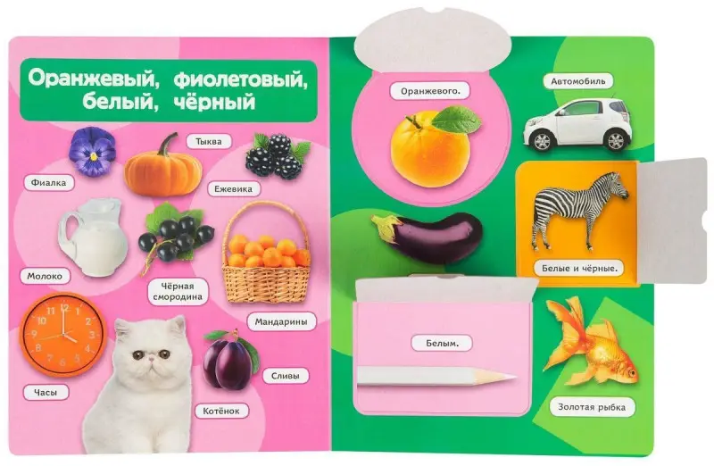 Цвета и формы (Книжка с окошками рос)