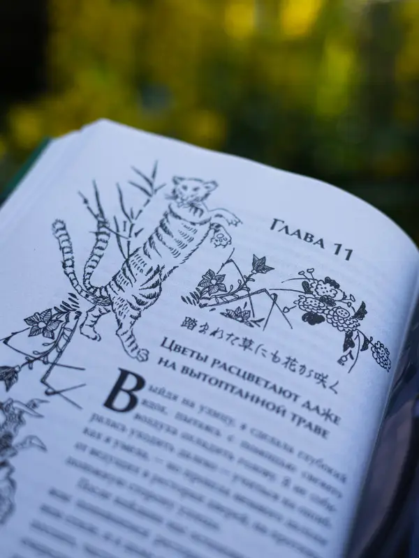 Уценка. Шэн Ангелина, Шэн Вероника: Канашибари. Пока не погаснет последний фонарь. Том 3