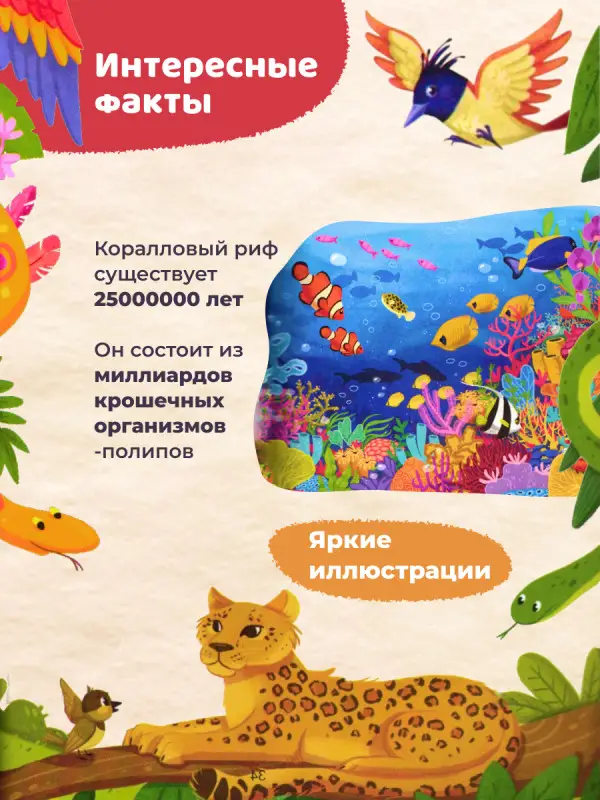 Природа мира. Энциклопедия для малышей в сказках: Елена Ульева