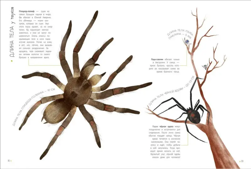 Животные в метрах и миллиметрах