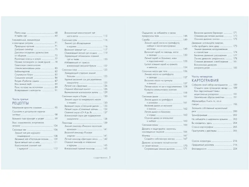 Шел Пинк. Slow Beauty. Повседневные ритуалы и рецепты для осознанной красоты