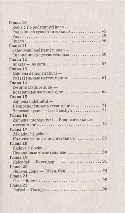 Грамматика чешского языка за 30 дней