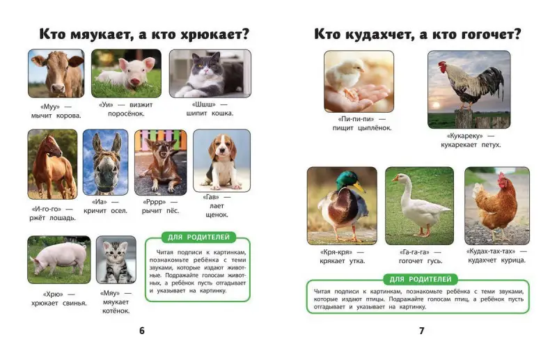 Елена Молчанова: Как много звуков нас окружает (-33880-3)