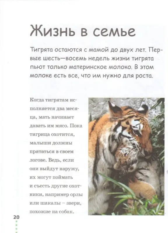 Прогулка по зоопарку. Джонсон Джинни