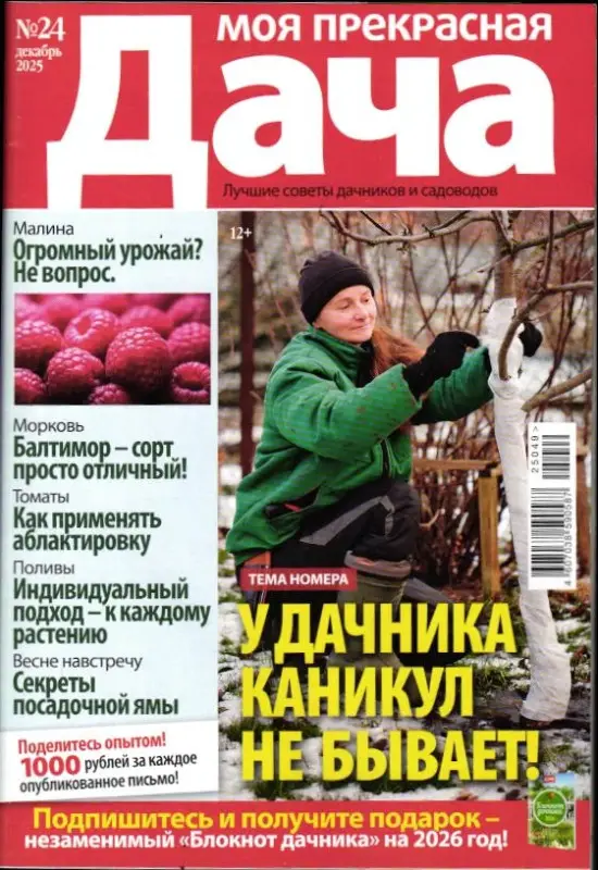 Моя Прекрасная Дача 24/25