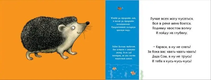 В лесу. Смешные половинки