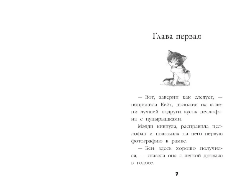 Холли Вебб. Котёнок Пуговка, или Храбрость в награду