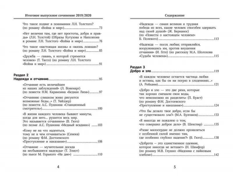 Елена Амелина: Итоговое выпускное сочинение 2019/2020