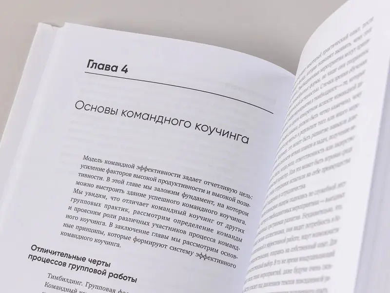 Сандал Филлип: Потенциал команды: Как добиться максимальной эффективности командной работы