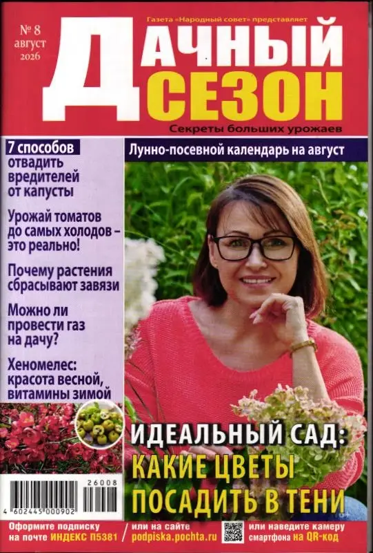 Дачный сезон 08/26