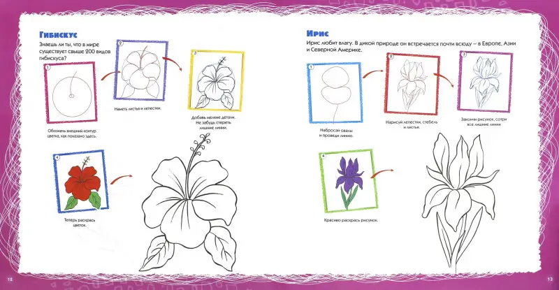 Учимся рисовать. Цветы