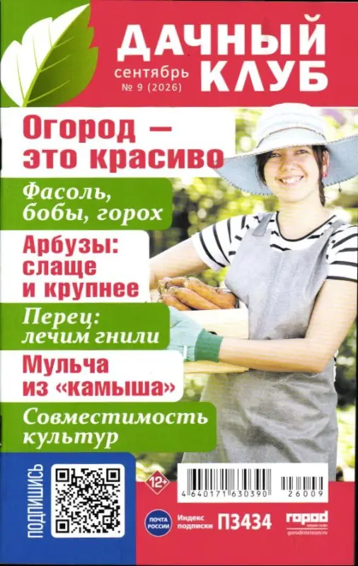 Дачный клуб 09/26