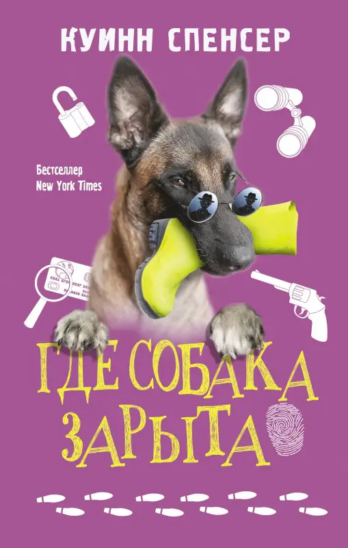 Куинн Спенсер: Где собака зарыта